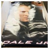 2008 Dale Earnhardt Jr. Nascar Poster