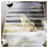1986 Snow Fox Photo Print Poster