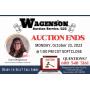 Auction Ends Monday, October 23, 2023 @ 1:00 pm