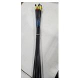 12 - Carbon Express Arrows