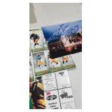Large Box Sports Cards and Pins
