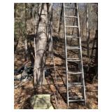 Metal Ladder Stand, 16ï¿½ Extension Ladder