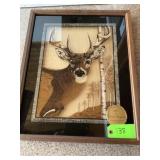 Tom Cyer Art - Hand Processed on Glass