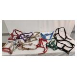 Assorted Halters - Qty 10