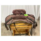 Buddy Seat