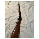Keystone pump 22LR Octagon Barrel, Tube fed