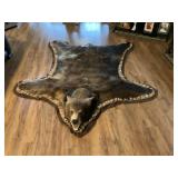 Brown Bear Rug, Spring shot in Wis, 210lbs, Female
