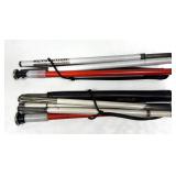 Walking Sticks set 2