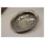 Abalone Shell Colorful Mother of Pearl