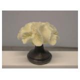 White Coral on Pedistal  6" tall
