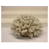 KatLin White Coral Crystal Energy