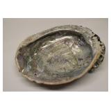 Abalone Shell Colorful Mother of Pearl