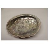 Abalone Shell Colorful Mother of Pearl