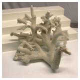 Staghorn Coral Specimen