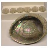 Sea Shell Lot