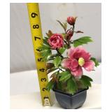 Vintage Japanese Jade Plant