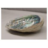 Abalone Shell 9"