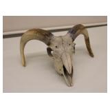 Ram Skull w Horns