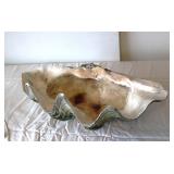 Natural giant clam shell