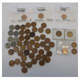 Pennies Assorted Date & Condition Lot