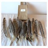 Feathers Lot