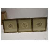 Vintage Bird Prints set 3  8"x8"