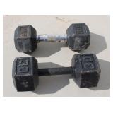 20 & 30 Pound Dumb Bells