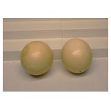 Genuine Ostrich Egg Shell Large 6' set 2