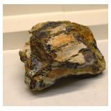 Petrified Wood