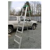 Folding Ladder 92" Tall