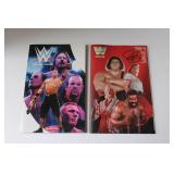 Boom Wrestling Comics Volume 1 & 2