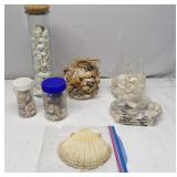 Sea Shells Home Decor Lot