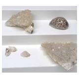 White calcite cluster & Sea Shells