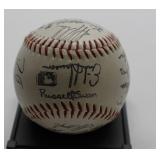 Team Signed Baseball