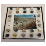 Mineral collection display board