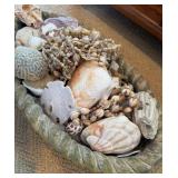 Decorative Items. Seashell, Starfish, Sand Dollar