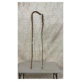 Shepherd hook and walking stick