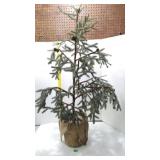 Artificial 4-ft Christmas Pine Tree