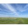 McDonald Family Farmland 158 +/- AC CRP Haskell