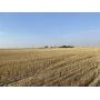 Southwest quarter Section 36 153.9 AC +/-
