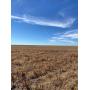 Cheyenne County Co. Farmland