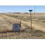 Online Auction Only 130 acres Kit Carson County