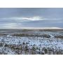 240 AC +/- Kit Carson County CO, Farm Land