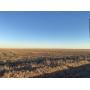 147.9  Acres Lane County, KS Dryland