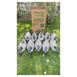 10 Canadian Goose Decoys w/ Weights