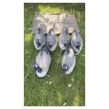 6 Canadian Goose Shell Decoys w/ weights & Bag