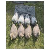 8 Flambeau & Carry-Lite Mallard Duck Decoys w/
