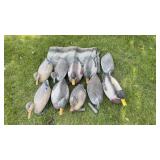 10 Mallard Duck Decoys w/ Weights & Bag