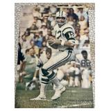 Rare Original 1970 Joe Nameth New York Jets