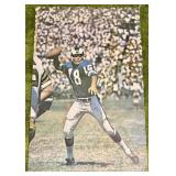Vtg Original 1968 LA RAMS Roman Gabrial Sports